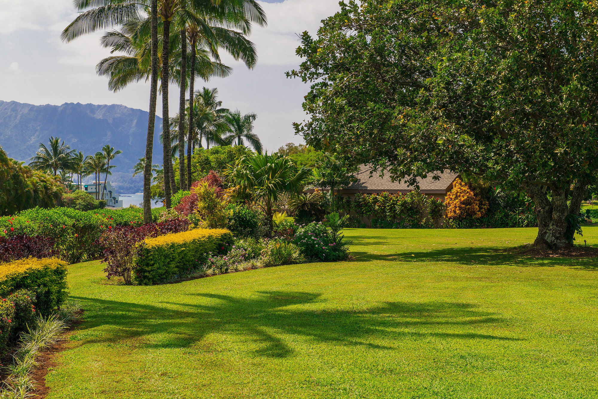 Princeville Oceanfront Villas Kauai Eksteriør billede